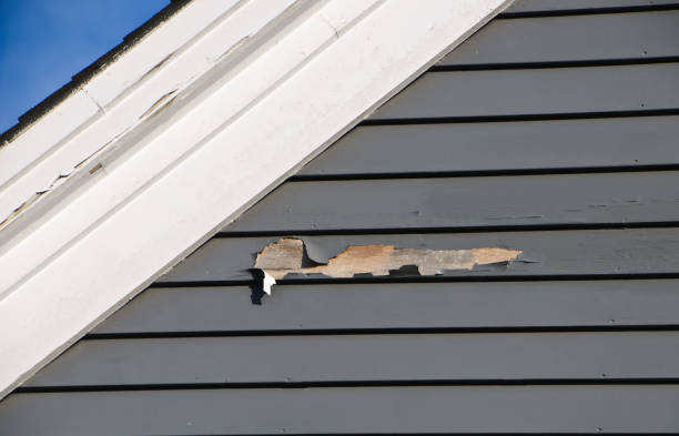 Best Custom Trim and Detailing for Siding  in Sixteen Mile Stand, OH
